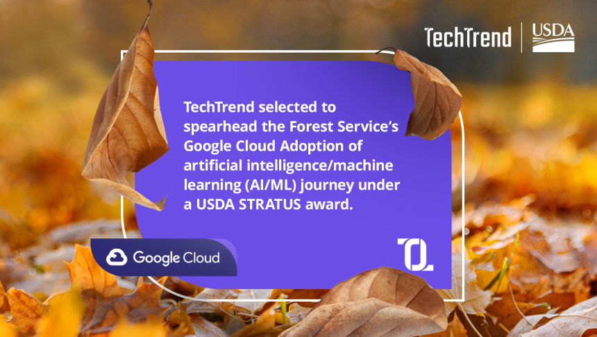 A purple shape sits on top a scene with fallen leaves featuring USDA, Google, and TechTrend logos and text that reads "TechTrend selected to spearhead the Forest Service's Google Cloud Adoption of artificial intelligence/machine learning journey under a USDA STRATUS award.